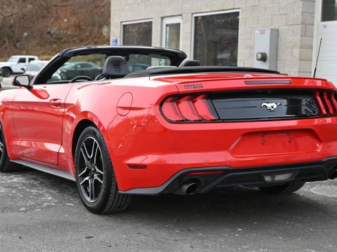 Used 2023 Ford Mustang Premium image 4