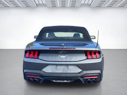 New 2026 Ford Mustang Premium w/ Anti-Theft Package