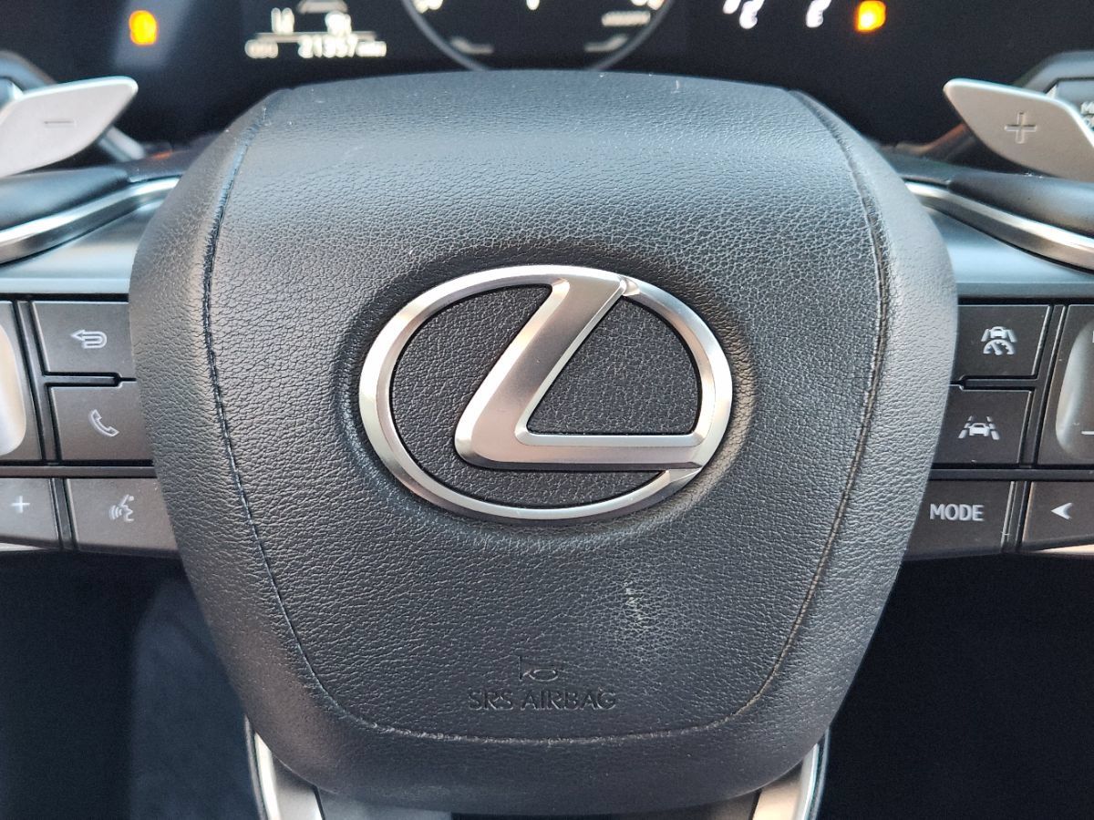 Used 2024 Lexus RX 350 Premium w/ Cold Area Package FWD image 45