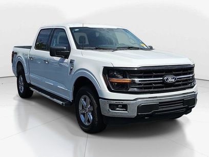 Used 2025 Ford F150 XLT w/ Equipment Group 301A Standard