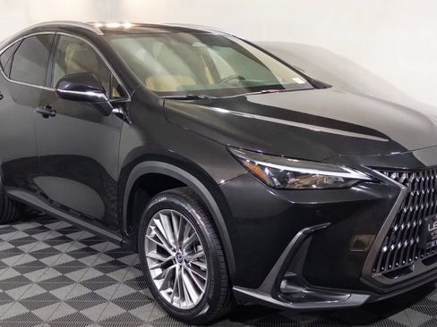 Certified 2025 Lexus NX 350h AWD w/ Cold Area Package image 1