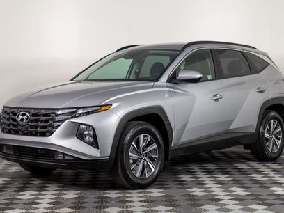 Used 2024 Hyundai Tucson Blue