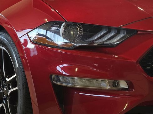 Used 2021 Ford Mustang GT Premium w/ Equipment Group 401A image 6