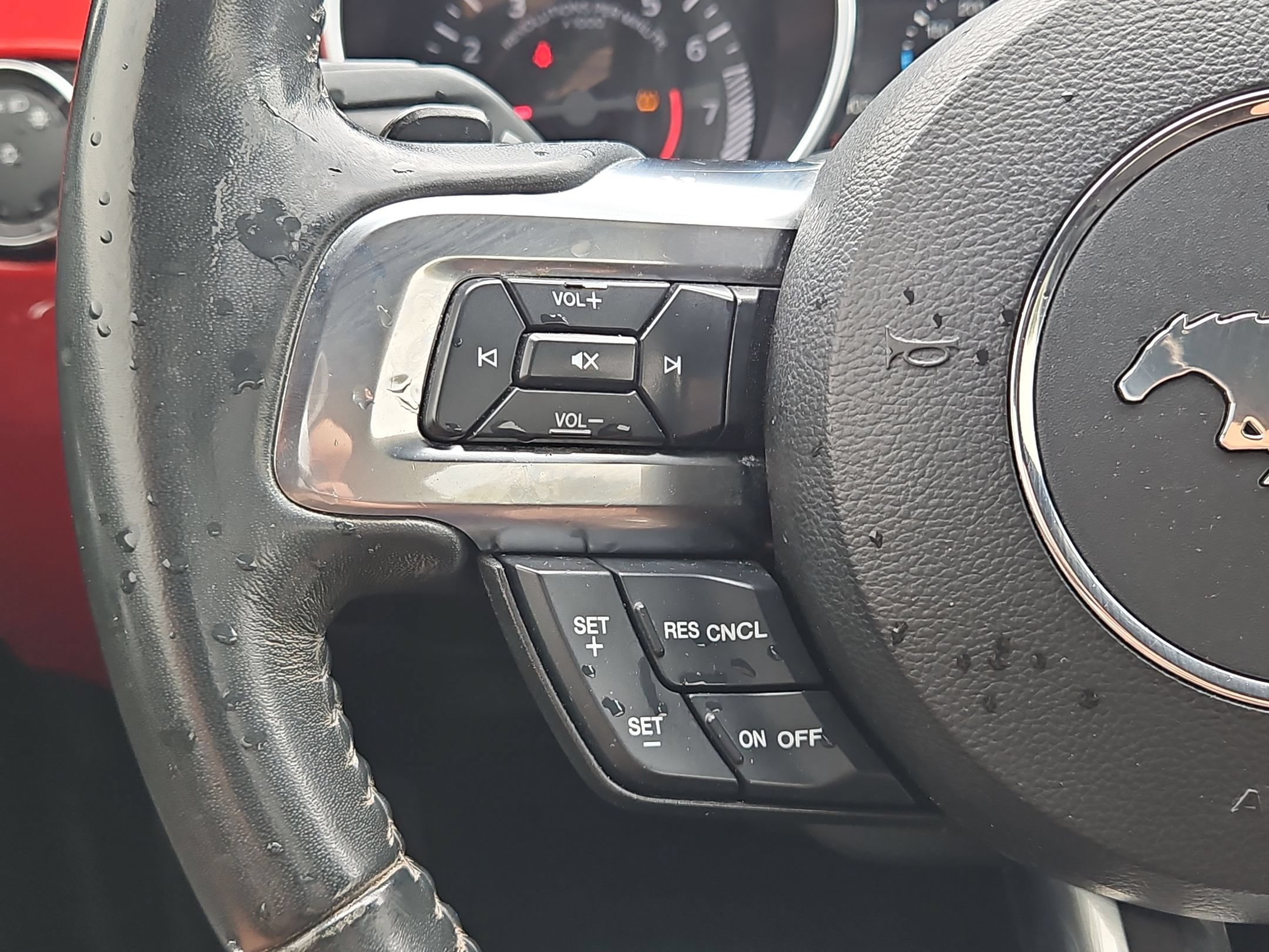 Used 2018 Ford Mustang Coupe RWD image 20