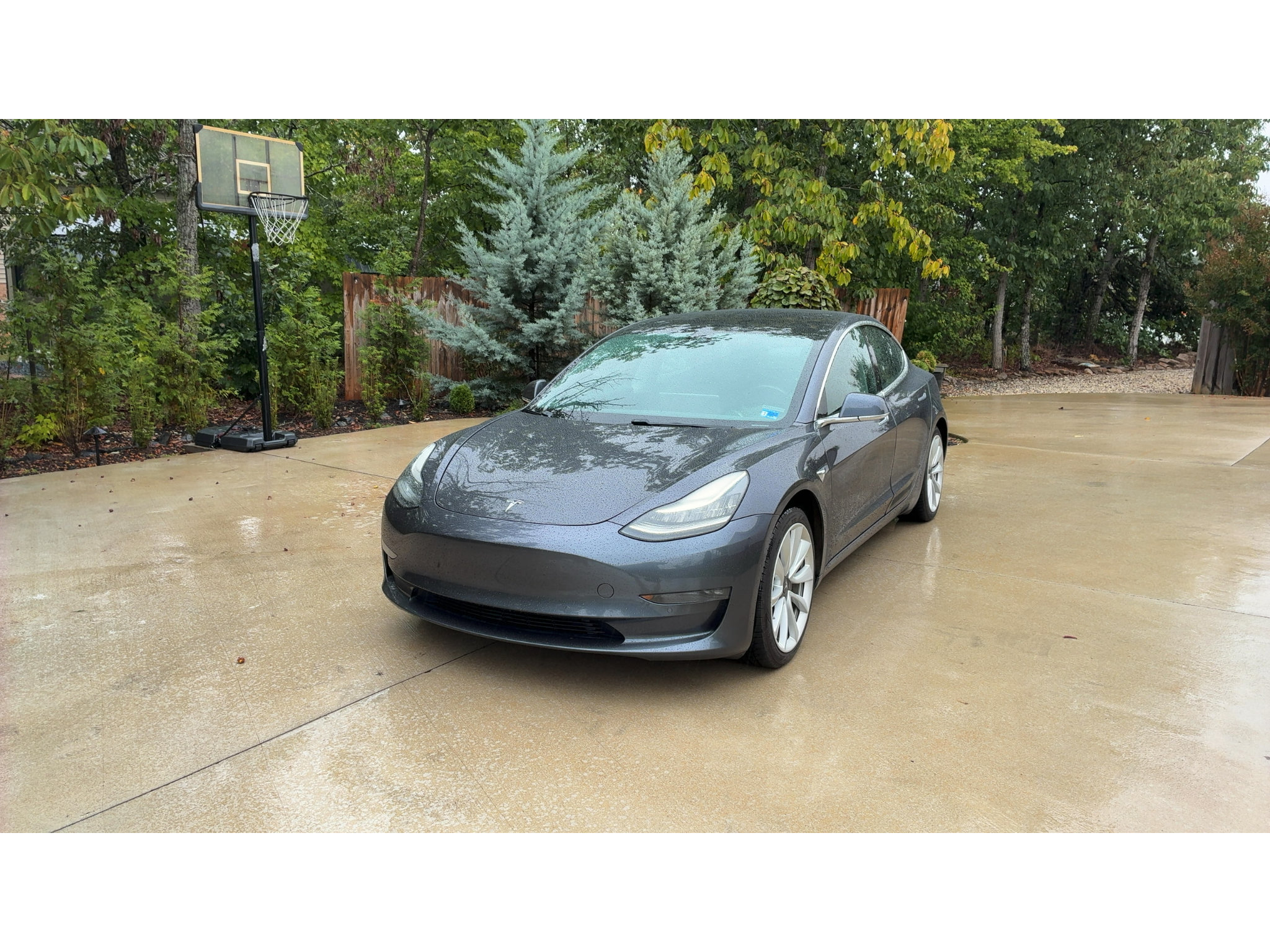 Used 2019 Tesla Model 3 Performance AWD/4WD image 2