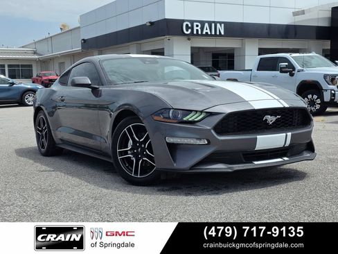 Used 2023 Ford Mustang Coupe w/ Equipment Group 101A RWD image 1
