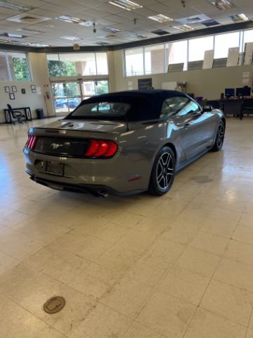 Used 2022 Ford Mustang Premium RWD image 4