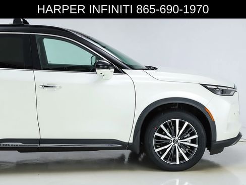 Used 2023 INFINITI QX60 Autograph w/ Cargo Package AWD/4WD image 13
