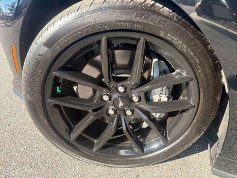 Used 2025 Ford Mustang GT Premium w/ Mustang Nite Pony Package image 34