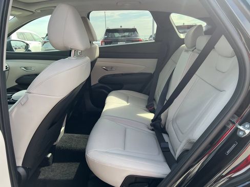 Used 2025 Hyundai Tucson Limited AWD/4WD image 14