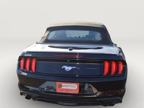 Used 2019 Ford Mustang Premium w/ Equipment Group 201A RWD image 5
