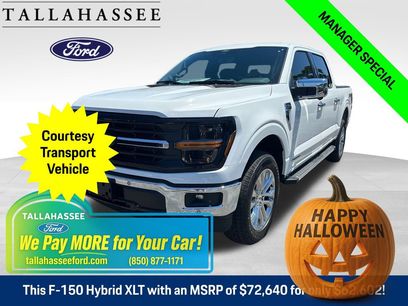 New 2025 Ford F150 XLT w/ Equipment Group 303A High