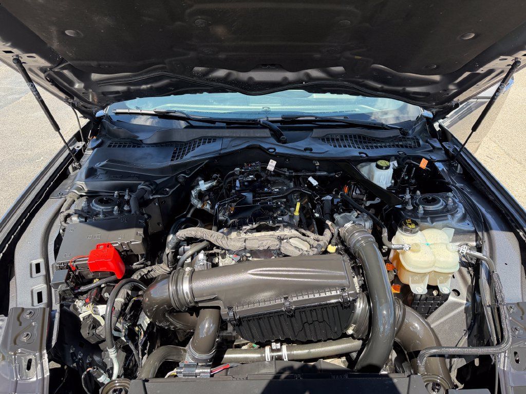 Used 2024 Ford Mustang Premium RWD image 14