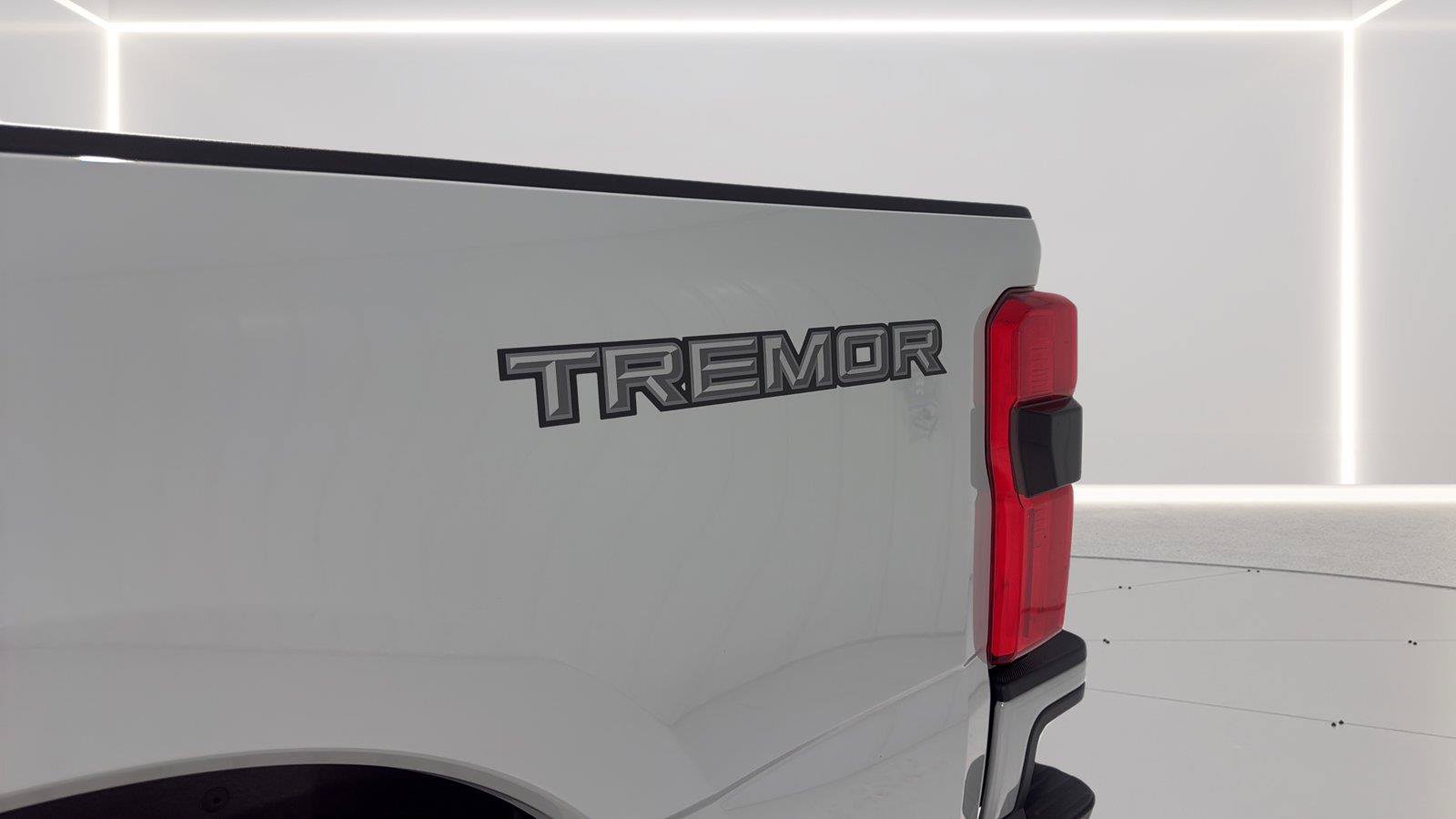 Certified 2026 Ford F250 Platinum w/ Tremor Off-Road Package AWD/4WD image 32