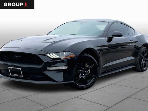 Used 2019 Ford Mustang Coupe w/ Black Accent Package image 1