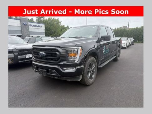 Used 2023 Ford F150 XLT w/ Equipment Group 302A High AWD/4WD image 1