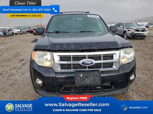 Used 2012 Ford Escape XLT w/ Cargo Pkg image 7