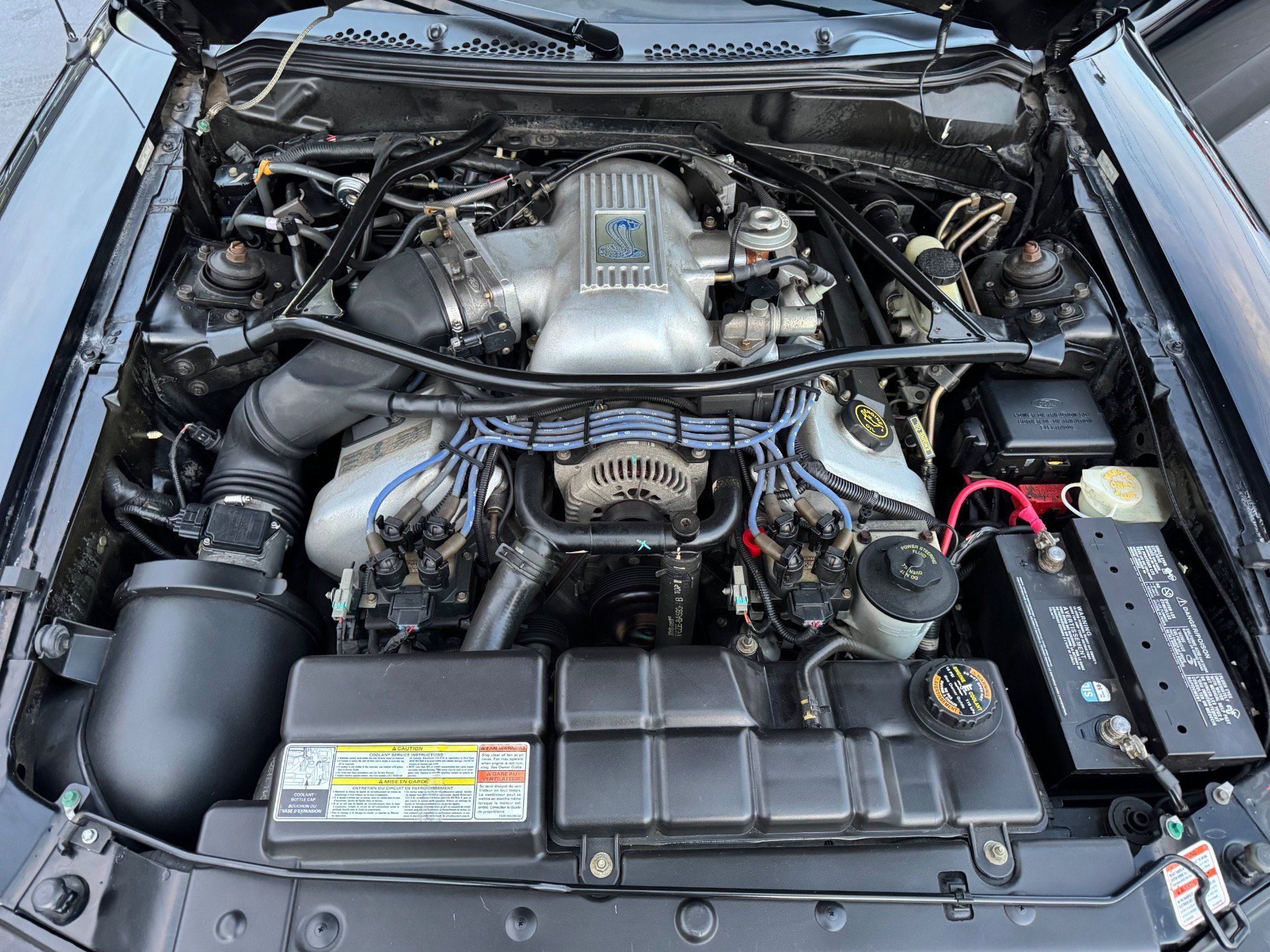 Used 1996 Ford Mustang Cobra RWD image 38