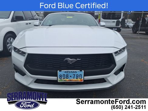 Used 2024 Ford Mustang Premium RWD image 2