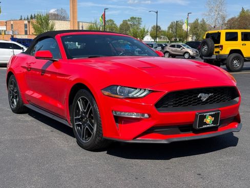 Used 2020 Ford Mustang Premium RWD image 2