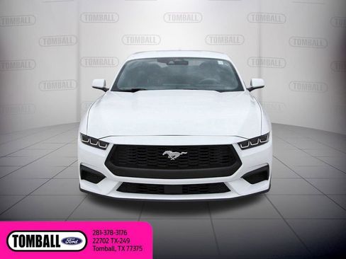 Used 2024 Ford Mustang EcoBoost image 2