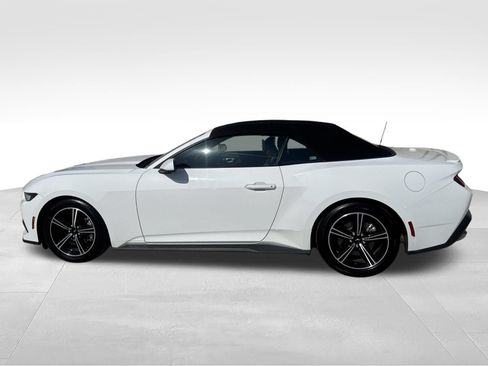 Used 2024 Ford Mustang Premium RWD image 8
