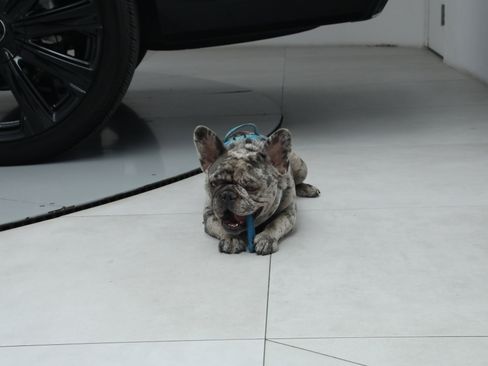 Used 2025 Cadillac Escalade ESV Premium Luxury Platinum image 20