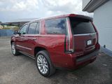 Used 2019 Cadillac Escalade Premium Luxury image 3