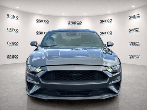 Used 2019 Ford Mustang Premium w/ Equipment Group 201A RWD image 2