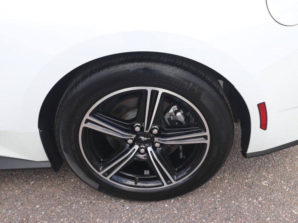 Used 2024 Ford Mustang Coupe RWD image 14
