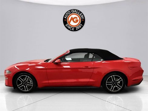 Used 2023 Ford Mustang Premium image 4
