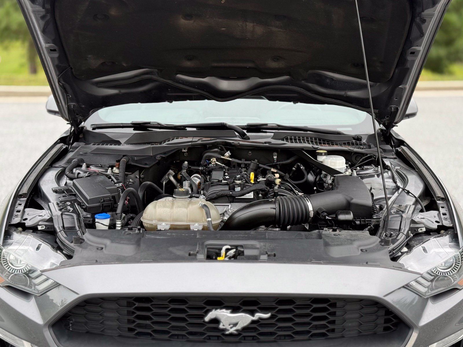 Used 2021 Ford Mustang Premium RWD image 45