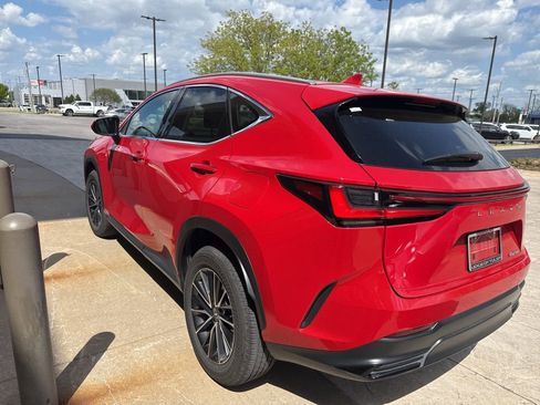 Used 2025 Lexus NX 250 FWD w/ Cold Area Package image 4