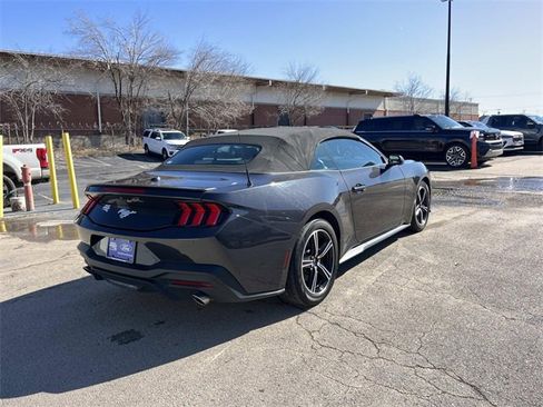 Certified 2024 Ford Mustang Premium image 3