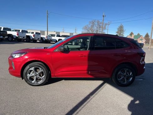 Used 2024 Ford Escape ST-Line AWD/4WD image 7