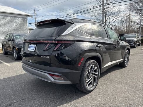 New 2025 Hyundai Tucson Limited image 6