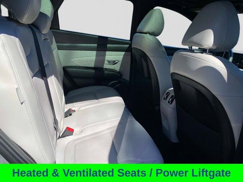 Used 2025 Hyundai Tucson Limited AWD/4WD image 27
