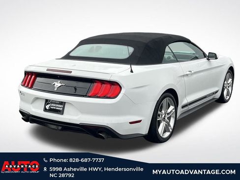 Used 2019 Ford Mustang Premium w/ Equipment Group 201A image 3