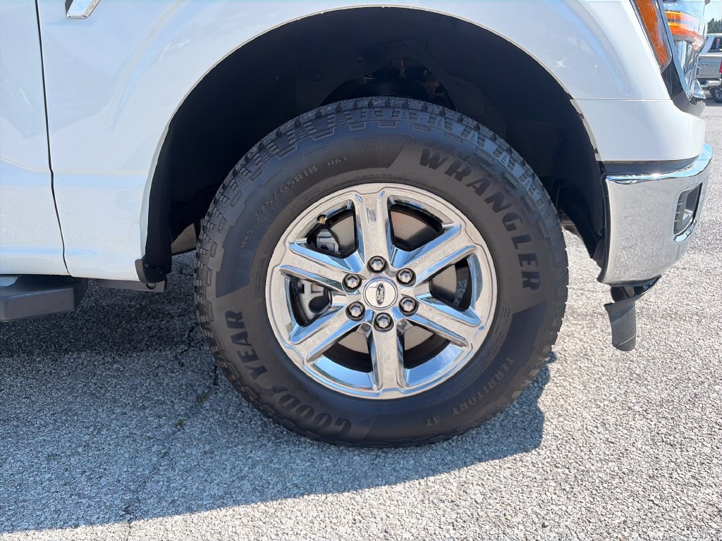 Used 2025 Ford F150 XLT w/ Equipment Group 301A Standard AWD/4WD image 46
