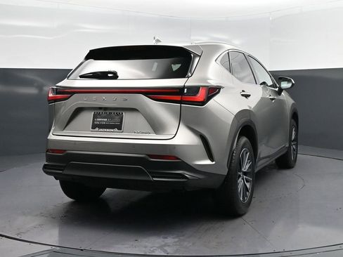 Certified 2025 Lexus NX 250 FWD image 7
