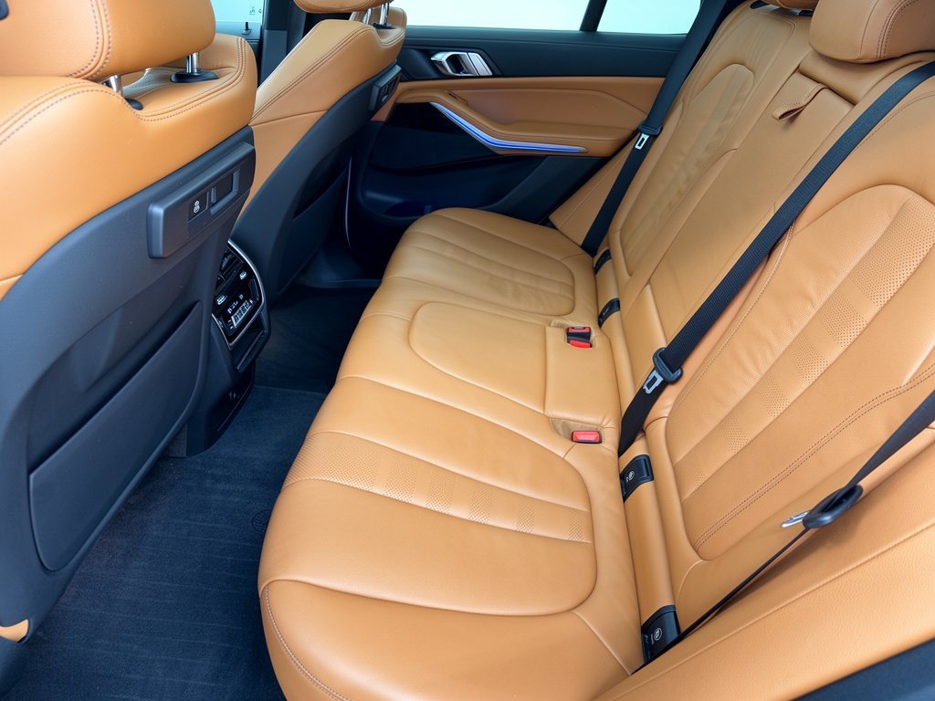 Used 2019 BMW X5 xDrive40i w/ Convenience Package AWD/4WD image 25