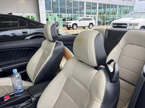 Used 2019 Ford Mustang GT Premium RWD image 6