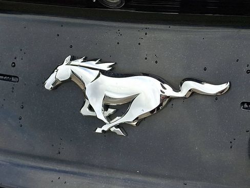 Used 2019 Ford Mustang Premium RWD image 31