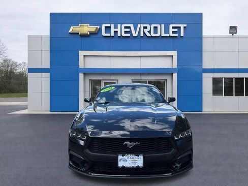 Used 2024 Ford Mustang Coupe RWD image 2