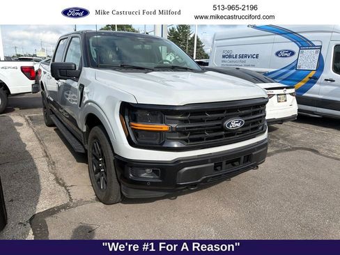 Used 2024 Ford F150 XLT w/ Equipment Group 303A High AWD/4WD image 1