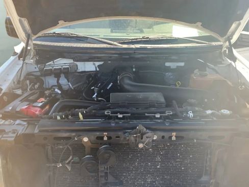 Used 2009 Ford F150 XLT AWD/4WD image 16