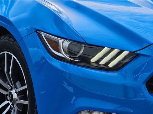 Used 2017 Ford Mustang Premium w/ Equipment Group 201A RWD image 5