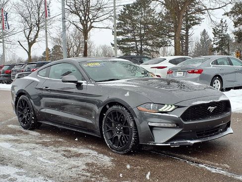 Used 2019 Ford Mustang Coupe w/ Ecoboost Performance Package image 3