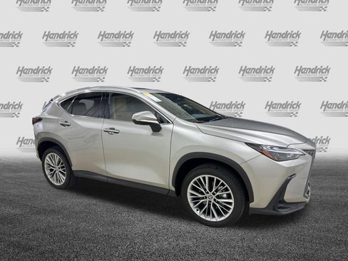 Used 2025 Lexus NX 350 AWD w/ Cold Area Package image 2