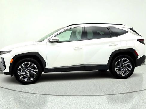 Used 2025 Hyundai Tucson Limited AWD/4WD image 8